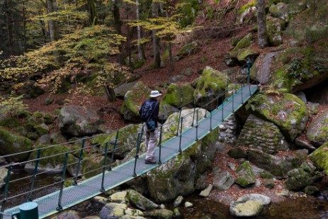 Hängebrücke in der Buchberger Leite