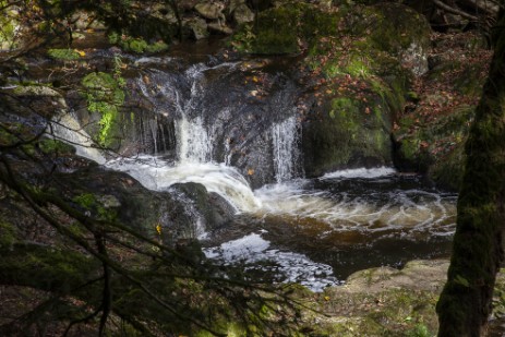 Wasserfall in der Buchberger Leite