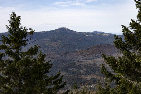 Wanderung auf Großen Falkenstein