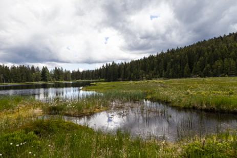 Kleiner Arbersee