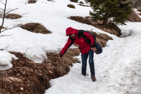 Wanderung auf Lusen bei Schnee