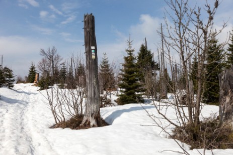 Wanderweg auf Lusen mit Schnee