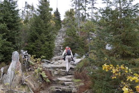 Himmelsleiter am Lusen