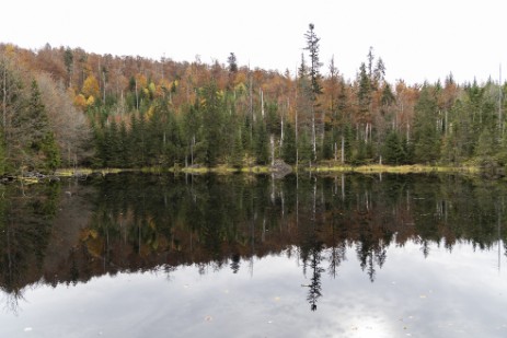 Martinsklause am Lusen