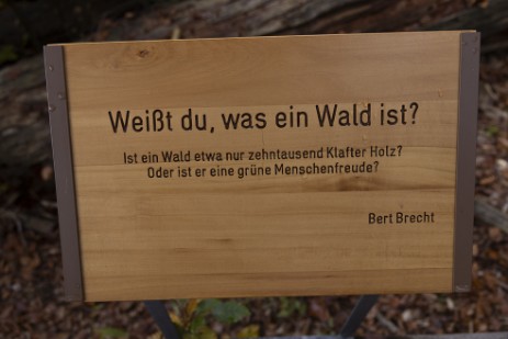 Schild am Seelensteig