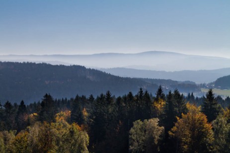 Ausblick vom Aussichtsturm am Baumwipfelpfad bei Neuschönau