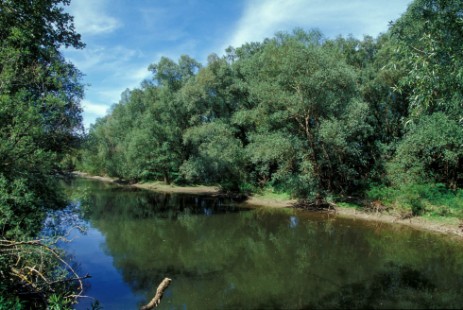 Altarm Donau zwischen Straubing und Vilshofen