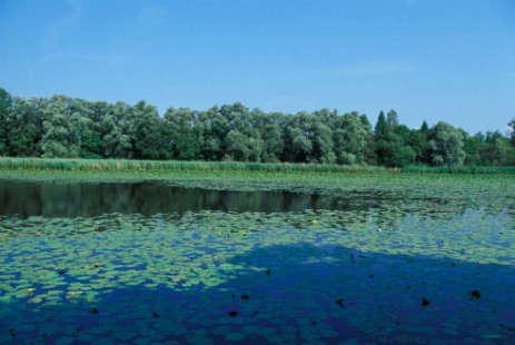 Donau zwischen Straubing und Vilshofen