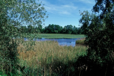 Donau zwischen Straubing und Vilshofen