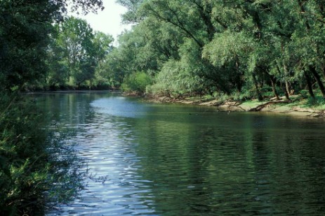 Altarm Donau zwischen Straubing und Vilshofen