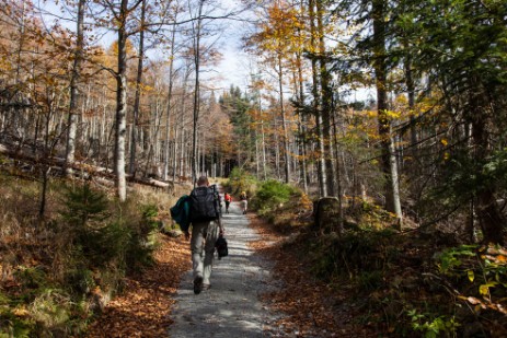 Wanderweg am Großen Rachel im Herbst