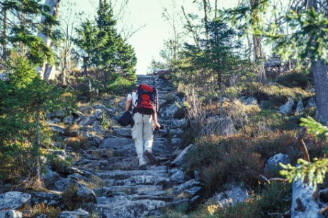 Himmelsleiter auf den Lusen