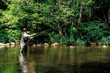 Angler in der Ilz