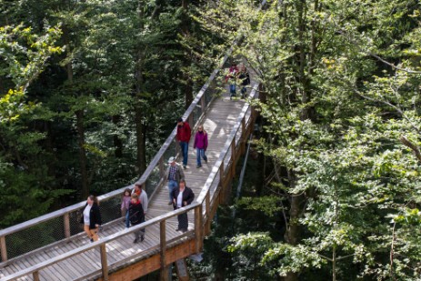 Baumwipfelpfad bei Neuschönau