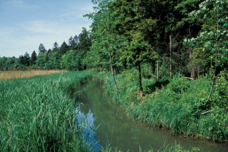 Isarmündungsgebiet bei Plattling