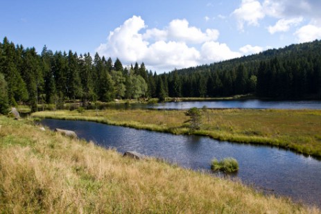 Kleiner Arbersee