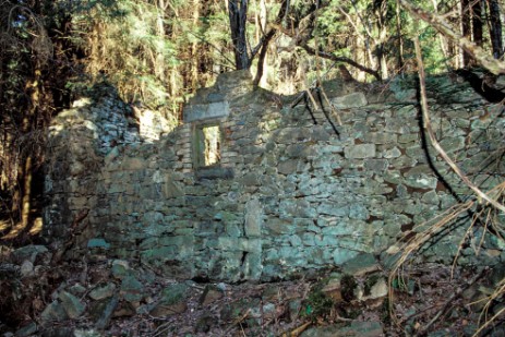 Ruine am Brodjacklriegel