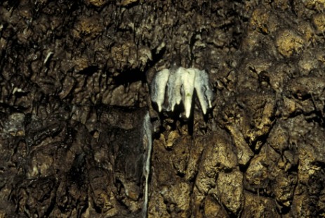 Tropfsteinhöhle Schulerloch im Altmühltal