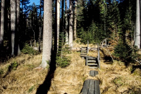 Wanderweg am Seelensteig