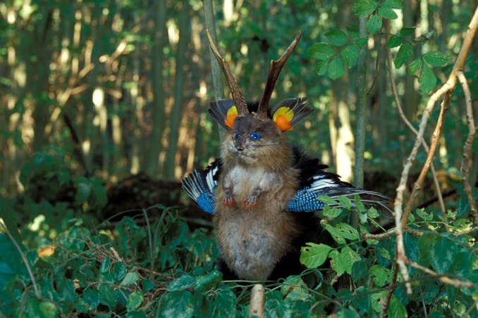 Wolpertinger